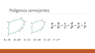 Polígonos semejantes
 