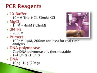  1X Buffer
◦ 10mM Tris-HCl, 50mM KCl
 MgCl2
◦ 1mM - 4mM (1.5mM)
 dNTPs
◦ 200μM
 Primers
◦ 100nM-1μM, 200nm (or less) for real time
analysis
 DNA polymerase
◦ Taq DNA polymerase is thermostable
◦ 1-4 Units (1 unit)
 DNA
◦ 10pg-1μg (20ng)
 