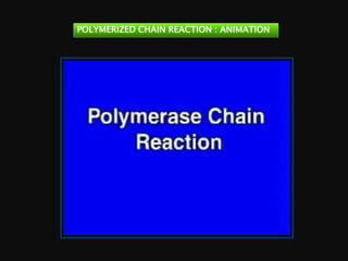 POLYMERIZED CHAIN REACTION : ANIMATION
 