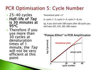  25-40 cycles
 Half-life of Taq
is 30 minutes at
95oC
 Therefore if you
use more than
30 cycles at
denaturation
times of 1
minute, the Taq
will not be very
efficient at this
point
Theoretical yield = 2n
ie. cycle 1 = 2, cycle 2 = 4, cycle 3 = 8, etc
eg. if you start with 100 copies after 30 cycles you
will have 107, 374, 182, 400 copies
 