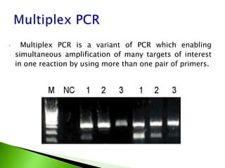• Multiplex PCR is a variant of PCR which enabling
simultaneous amplification of many targets of interest
in one reaction by using more than one pair of primers.
 