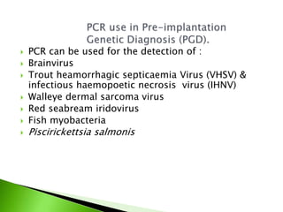  PCR can be used for the detection of :
 Brainvirus
 Trout heamorrhagic septicaemia Virus (VHSV) &
infectious haemopoetic necrosis virus (IHNV)
 Walleye dermal sarcoma virus
 Red seabream iridovirus
 Fish myobacteria
 Piscirickettsia salmonis
 