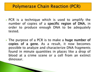  PCR is a technique which is used to amplify the
number of copies of a specific region of DNA, in
order to produce enough DNA to be adequately
tested.
 The purpose of a PCR is to make a huge number of
copies of a gene. As a result, it now becomes
possible to analyze and characterize DNA fragments
found in minute quantities in places like a drop of
blood at a crime scene or a cell from an extinct
dinosaur.
 