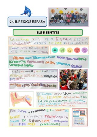 2NB.PEIXOSESPASA
ELS 5 SENTITS
 