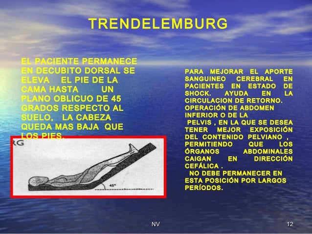 Los pequeños pechos con los chupetes verticales