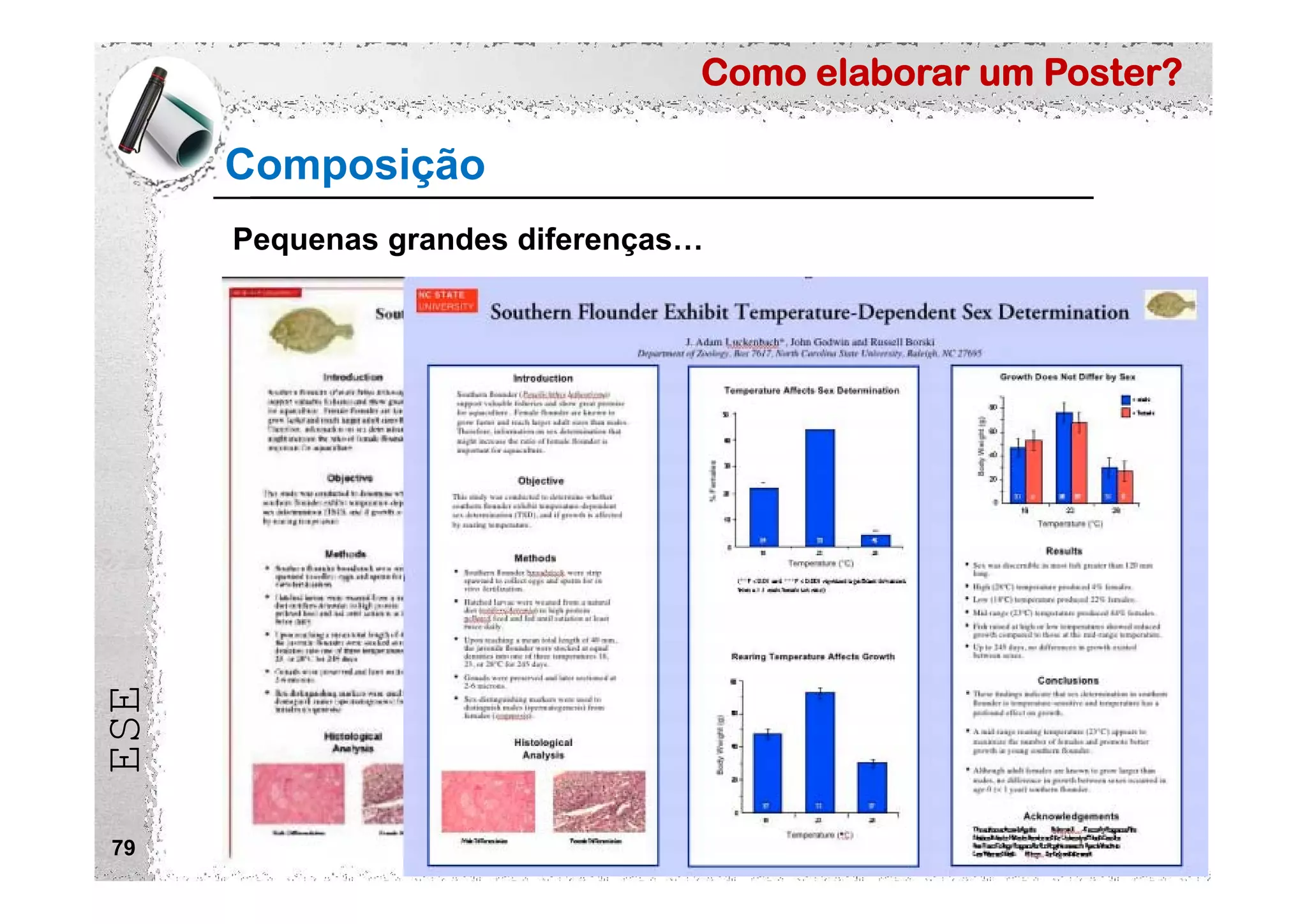 Como elaborar um Poster?
ESE
79
Composição
Pequenas grandes diferenças…
 