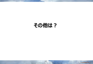 Copyright © 2012 TerraSky Co.,Ltd. All Rights Reserved. 
12 
その他は？  