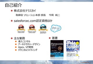 Copyright © 2012 TerraSky Co.,Ltd. All Rights Reserved. 
自己紹介 
2 
salesforcec.com認定資格ほか 
著書 
主な業務 
導入コンサル 
アーキテクチャーデザイン 
Apex、VF開発 
テクニカルライティング 
株式会社テラスカイ 
取締役 ソリューション本部 部長 今岡 純二  