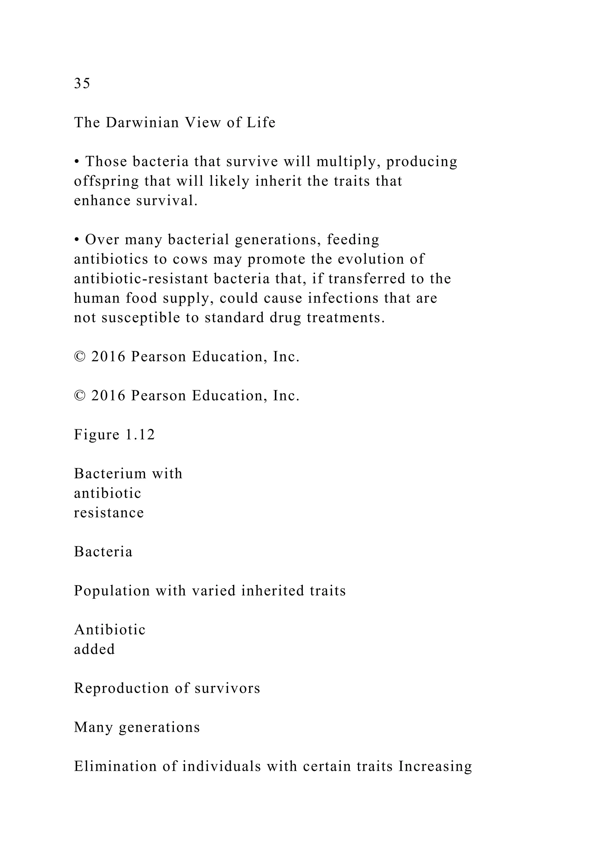 35
The Darwinian View of Life
• Those bacteria that survive will multiply, producing
offspring that will likely inherit the traits that
enhance survival.
• Over many bacterial generations, feeding
antibiotics to cows may promote the evolution of
antibiotic-resistant bacteria that, if transferred to the
human food supply, could cause infections that are
not susceptible to standard drug treatments.
© 2016 Pearson Education, Inc.
© 2016 Pearson Education, Inc.
Figure 1.12
Bacterium with
antibiotic
resistance
Bacteria
Population with varied inherited traits
Antibiotic
added
Reproduction of survivors
Many generations
Elimination of individuals with certain traits Increasing
 