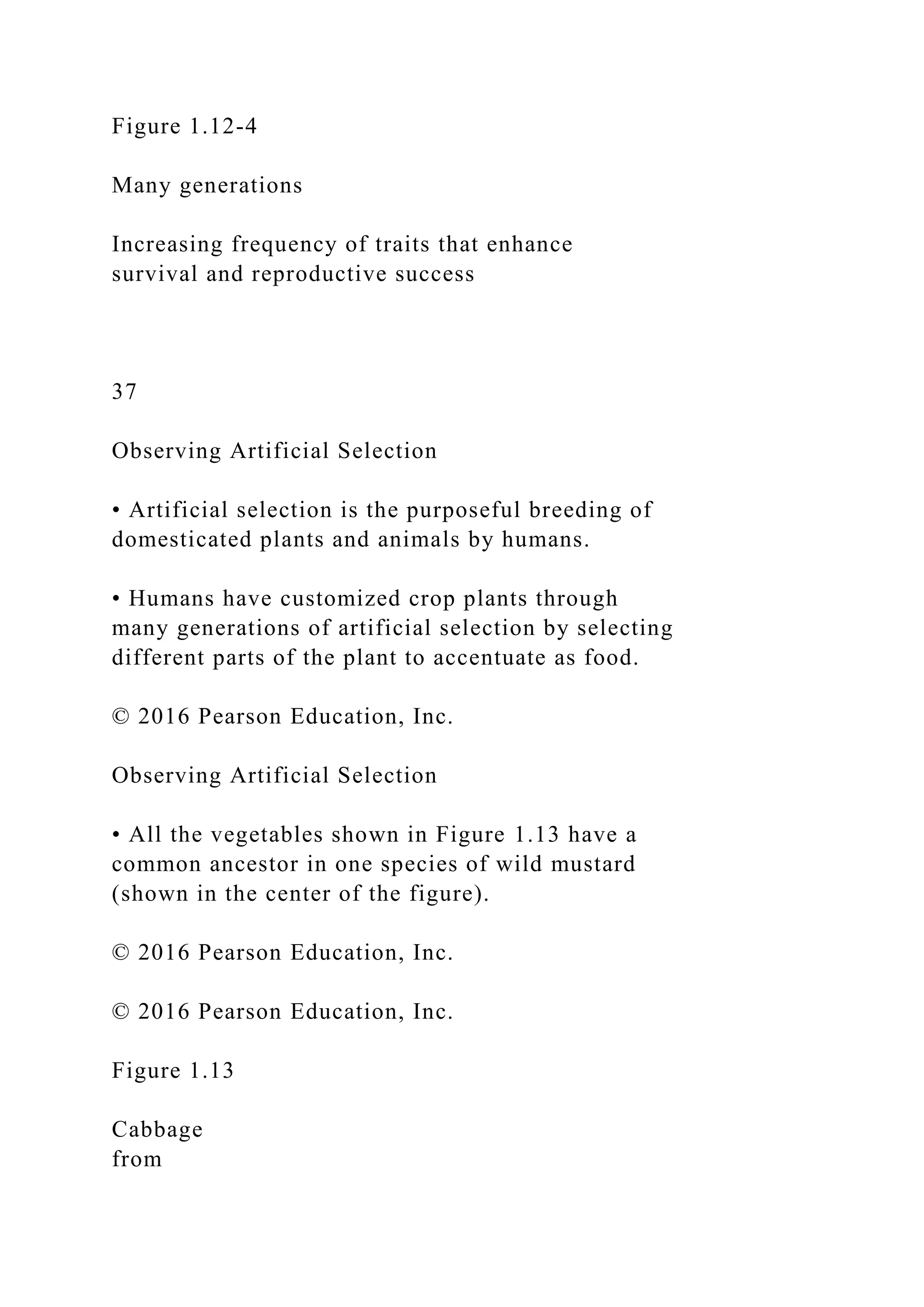 Figure 1.12-4
Many generations
Increasing frequency of traits that enhance
survival and reproductive success
37
Observing Artificial Selection
• Artificial selection is the purposeful breeding of
domesticated plants and animals by humans.
• Humans have customized crop plants through
many generations of artificial selection by selecting
different parts of the plant to accentuate as food.
© 2016 Pearson Education, Inc.
Observing Artificial Selection
• All the vegetables shown in Figure 1.13 have a
common ancestor in one species of wild mustard
(shown in the center of the figure).
© 2016 Pearson Education, Inc.
© 2016 Pearson Education, Inc.
Figure 1.13
Cabbage
from
 