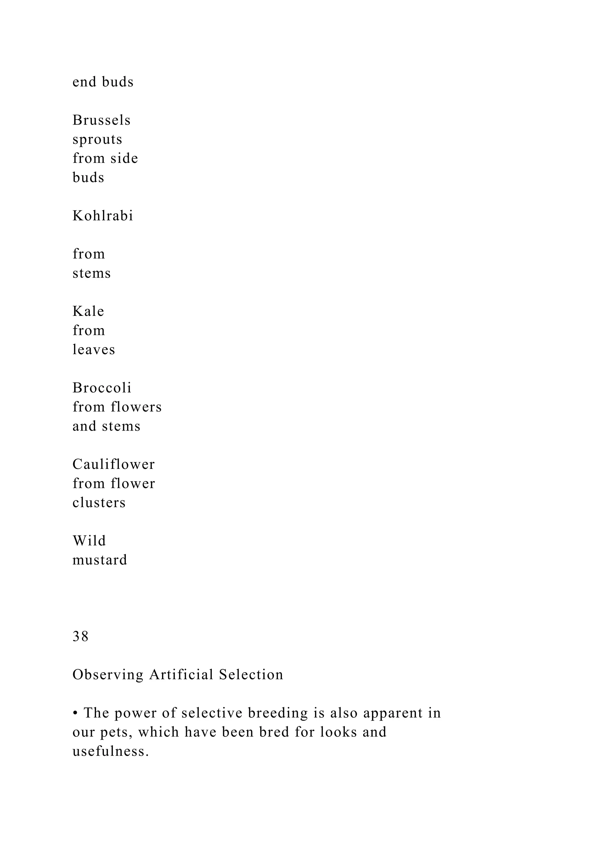 end buds
Brussels
sprouts
from side
buds
Kohlrabi
from
stems
Kale
from
leaves
Broccoli
from flowers
and stems
Cauliflower
from flower
clusters
Wild
mustard
38
Observing Artificial Selection
• The power of selective breeding is also apparent in
our pets, which have been bred for looks and
usefulness.
 