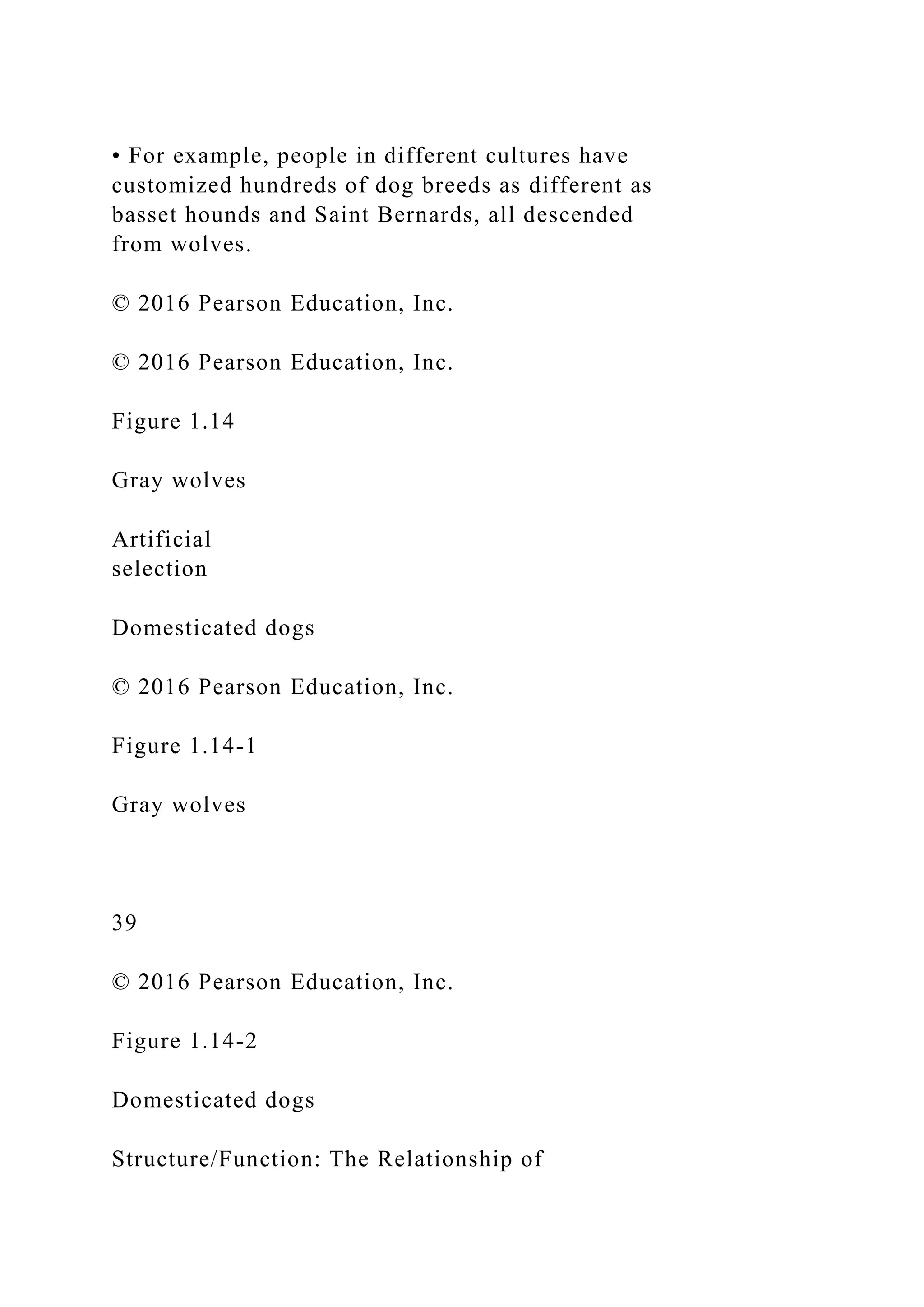 • For example, people in different cultures have
customized hundreds of dog breeds as different as
basset hounds and Saint Bernards, all descended
from wolves.
© 2016 Pearson Education, Inc.
© 2016 Pearson Education, Inc.
Figure 1.14
Gray wolves
Artificial
selection
Domesticated dogs
© 2016 Pearson Education, Inc.
Figure 1.14-1
Gray wolves
39
© 2016 Pearson Education, Inc.
Figure 1.14-2
Domesticated dogs
Structure/Function: The Relationship of
 