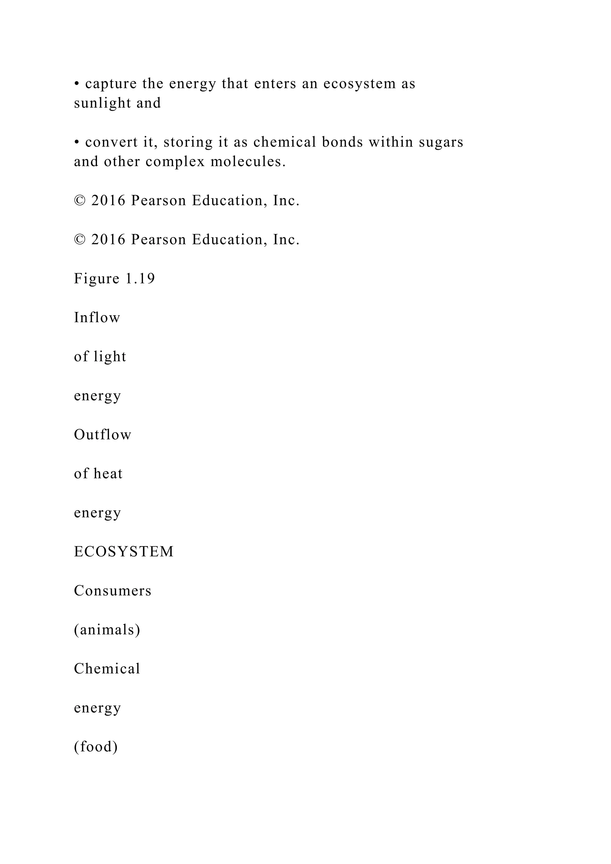 • capture the energy that enters an ecosystem as
sunlight and
• convert it, storing it as chemical bonds within sugars
and other complex molecules.
© 2016 Pearson Education, Inc.
© 2016 Pearson Education, Inc.
Figure 1.19
Inflow
of light
energy
Outflow
of heat
energy
ECOSYSTEM
Consumers
(animals)
Chemical
energy
(food)
 
