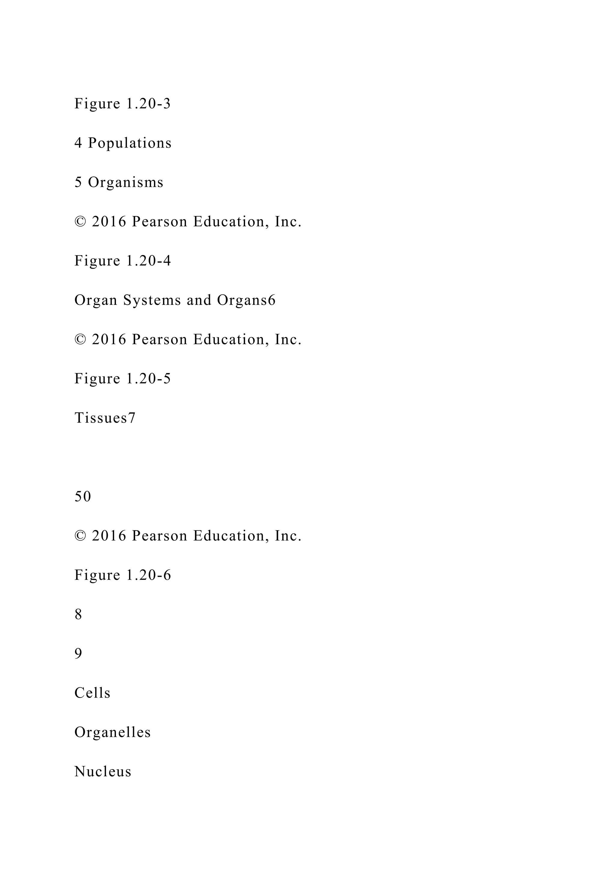 Figure 1.20-3
4 Populations
5 Organisms
© 2016 Pearson Education, Inc.
Figure 1.20-4
Organ Systems and Organs6
© 2016 Pearson Education, Inc.
Figure 1.20-5
Tissues7
50
© 2016 Pearson Education, Inc.
Figure 1.20-6
8
9
Cells
Organelles
Nucleus
 