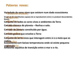 Palavras novas:
•Biodiversidade,
•Espécie,
•Biosfera,
•Litosfera,
•Hidrosfera,
•Atmosfera,
•Ecossistema
•Tundra,
•Estuário.
Variedade de seres vivos que existem num dado ecossistema.
Grupo de SV semelhantes capazes de se reproduzirem entre si e produzir descendentes
férteis.
Conjunto de todos os seres vivos e ambientes da Terra.
Camada externa do planeta – Rochas e solo.
Camada do planeta constituída por água.
Camada gasosa que envolve a Terra
Conjunto de seres vivos que interagem entre si e o meio que os
rodeia.
Ecossistema com baixas temperaturas onde só existe pequena
vegetação.
Ambiente aquático de transição entre o mar e o rio.
 