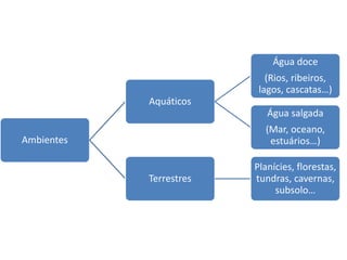Ambientes
Aquáticos
Água doce
(Rios, ribeiros,
lagos, cascatas…)
Água salgada
(Mar, oceano,
estuários…)
Terrestres
Planícies, florestas,
tundras, cavernas,
subsolo…
 