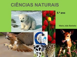 CIÊNCIAS NATURAIS
5.º ano
Maria João Barbeito
 