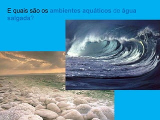 E quais são os ambientes aquáticos de água
salgada?
 