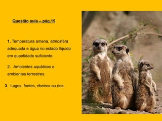 1. Temperatura amena, atmosfera
adequada e água no estado líquido
em quantidade suficiente.
2. Ambientes aquáticos e
ambientes terrestres.
3. Lagos, fontes, ribeiros ou rios.
Questão aula – pág.15
 