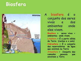 Biosfera
A biosfera é o
conjunto dos seres
vivos e dos
ambientes onde
eles vivem.
• Biosfera = seres vivos +
ambientes onde vivem.
• Litosfera = É a parte sólida
da Terra (rochas e o solo)
• Hidrosfera = É o conjunto
dos reservatórios de água
que existem na Terra
• Atmosfera = Conjunto das
camadas gasosas que
envolvem a Terra
 