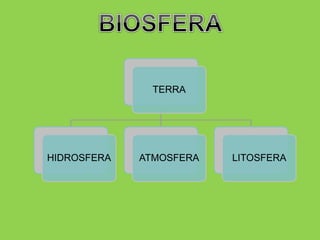 TERRA
HIDROSFERA ATMOSFERA LITOSFERA
 