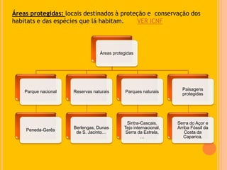Áreas protegidas: locais destinados à proteção e conservação dos
habitats e das espécies que lá habitam. VER ICNF
Áreas protegidas
Parque nacional
Peneda-Gerês
Reservas naturais
Berlengas, Dunas
de S. Jacinto…
Parques naturais
Sintra-Cascais,
Tejo internacional,
Serra da Estrela,
…
Paisagens
protegidas
Serra do Açor e
Arriba Fóssil da
Costa da
Caparica.
 