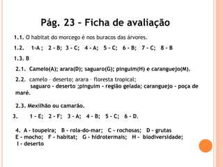 Pág. 23 – Ficha de avaliação
1.1. O habitat do morcego é nos buracos das árvores.
1.2. 1-A ; 2 – B; 3 – C; 4 – A; 5 – C; 6 – B; 7 – C; 8 – B
1.3. B
2.1. Camelo(A); arara(D); saguaro(G); pinguim(H) e caranguejo(M).
2.2. camelo – deserto; arara – floresta tropical;
saguaro – deserto ;pinguim - região gelada; caranguejo – poça de
maré.
2.3. Mexilhão ou camarão.
3. 1 – E; 2 – F; 3 – A; 4 – B; 5 – C; 6 - D.
4. A – toupeira; B – rola-do-mar; C – rochosas; D – grutas
E – mocho; F – habitat; G – hidrotermais; H - biodiversidade;
I - deserto
 