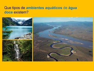 Que tipos de ambientes aquáticos de água
doce existem?
 