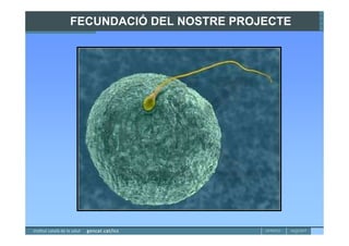 FECUNDACIÓ DEL NOSTRE PROJECTE
 