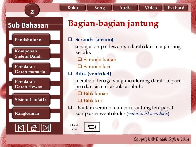 1 Ppt Sistem Sirkulasi