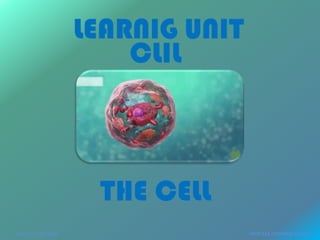 U.D. CLIL: THE CELL PROF.SSA STEFANIA SCIUTO
 