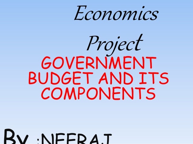 government budget budget project