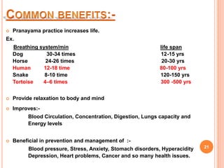  Pranayama practice increases life.
Ex.
Breathing system/min life span
Dog 30-34 times 12-15 yrs
Horse 24-26 times 20-30 yrs
Human 12-18 time 80-100 yrs
Snake 8-10 time 120-150 yrs
Tortoise 4–6 times 300 -500 yrs
 Provide relaxation to body and mind
 Improves:-
Blood Circulation, Concentration, Digestion, Lungs capacity and
Energy levels
 Beneficial in prevention and management of :-
Blood pressure, Stress, Anxiety, Stomach disorders, Hyperacidity
Depression, Heart problems, Cancer and so many health issues.
21
 