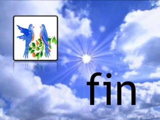 fin