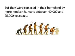 But they were replaced in their homeland by
more modern humans between 40,000 and
25,000 years ago.
 