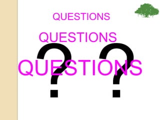 QUESTIONS
QUESTIONS
QUESTIONS
 