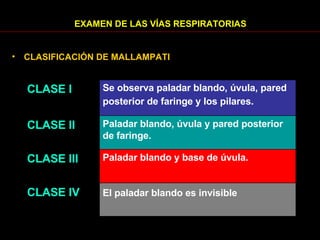 EXAMEN DE LAS VÍAS RESPIRATORIAS CLASIFICACIÓN DE MALLAMPATI El paladar blando es invisible   CLASE IV Paladar blando y base de úvula.  CLASE III Paladar blando, úvula y pared posterior de faringe.  CLASE II Se observa paladar blando, úvula, pared posterior de faringe y los pilares.   CLASE I 