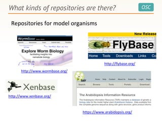 OSCWhat kinds of repositories are there?
Repositories for model organisms
http://www.wormbase.org/
http://flybase.org/
http://www.xenbase.org/
https://www.arabidopsis.org/
 