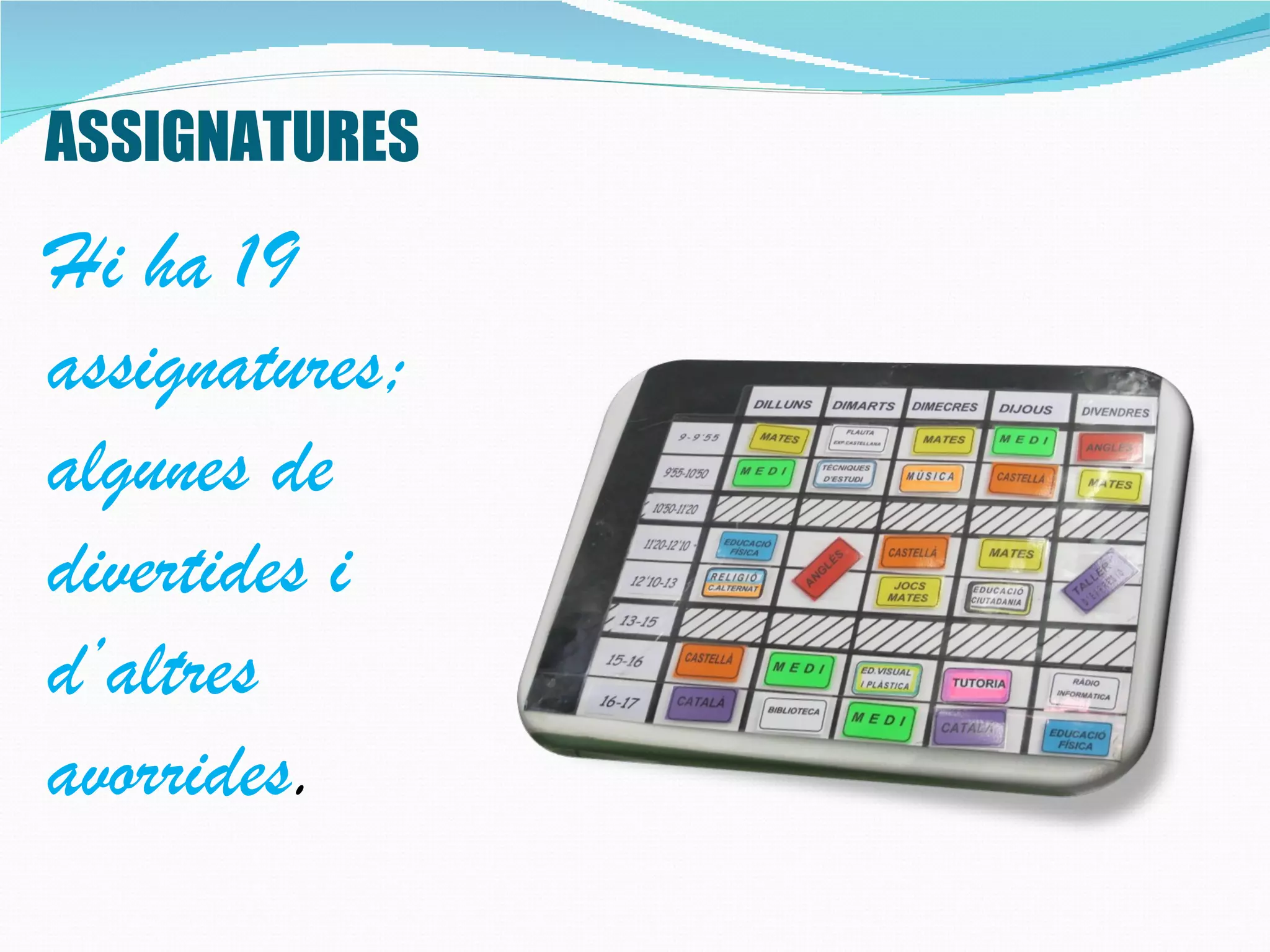 ASSIGNATURES
Hi ha 19
assignatures;
algunes de
divertides i
d’altres
avorrides.
 