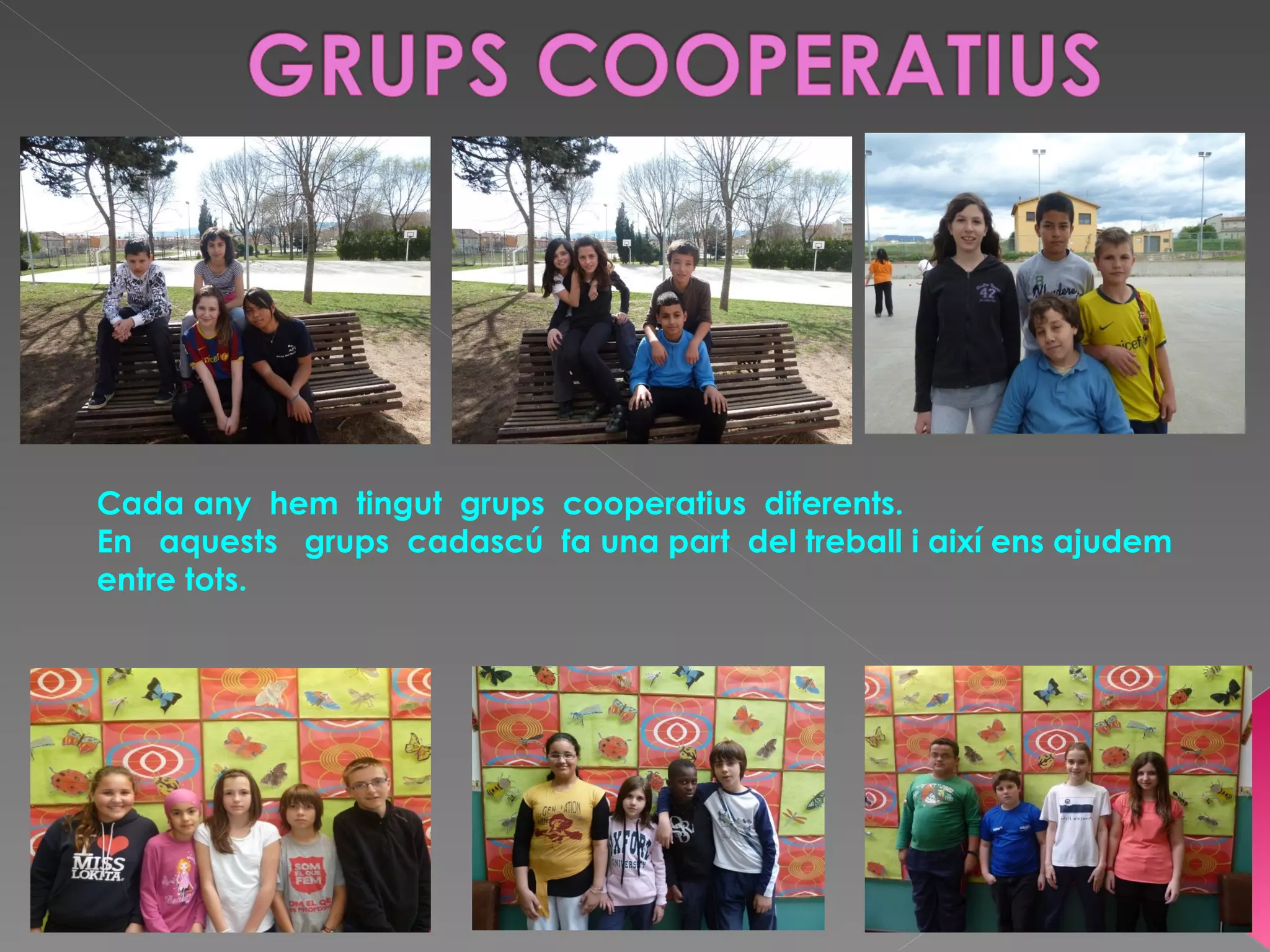 Cada any hem tingut grups cooperatius diferents.
En aquests grups cadascú fa una part del treball i així ens ajudem
entre tots.
 