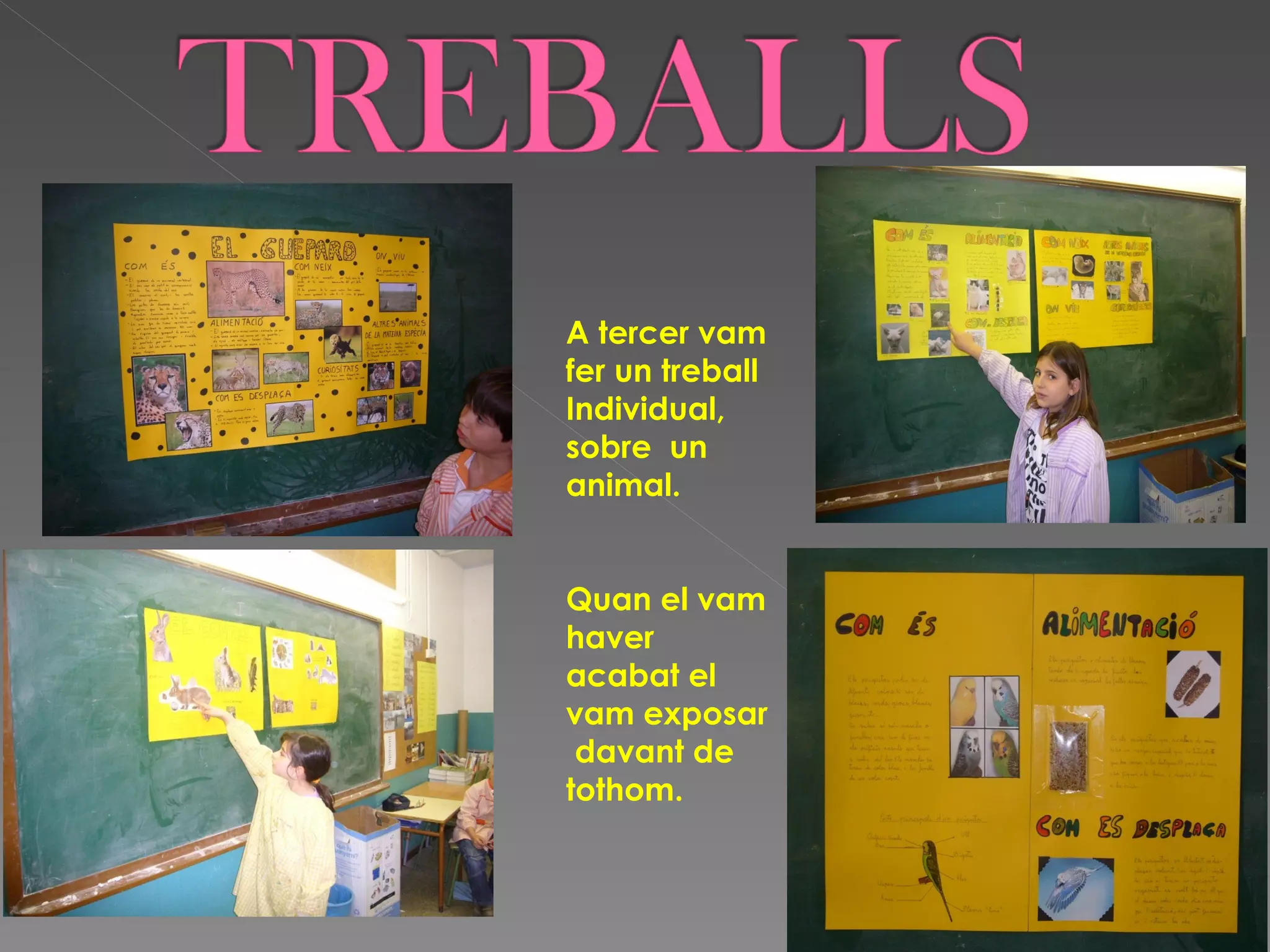 A tercer vam
fer un treball
Individual,
sobre un
animal.


Quan el vam
haver
acabat el
vam exposar
 davant de
tothom.
 