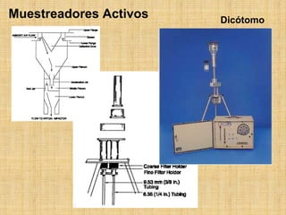 MuestreadoresActivos 
Dicótomo  