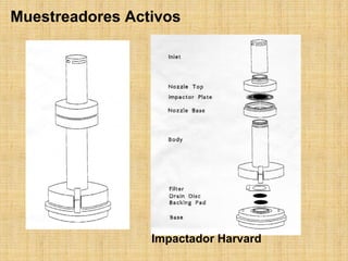 MuestreadoresActivosImpactadorHarvard  