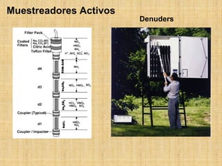 MuestreadoresActivos 
Denuders  