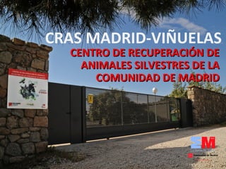 CRAS MADRID-VIÑUELAS
CENTRO DE RECUPERACIÓN DECENTRO DE RECUPERACIÓN DE
ANIMALES SILVESTRES DE LAANIMALES SILVESTRES DE LA
COMUNIDAD DE MADRIDCOMUNIDAD DE MADRID
 