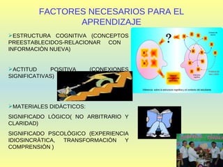 FACTORES NECESARIOS PARA EL APRENDIZAJE ESTRUCTURA COGNITIVA (CONCEPTOS PREESTABLECIDOS-RELACIONAR CON  INFORMACIÒN NUEVA) ACTITUD POSITIVA (CONEXIONES SIGNIFICATIVAS) MATERIALES DIDÀCTICOS:  SIGNIFICADO LÒGICO( NO ARBITRARIO Y CLARIDAD) SIGNIFICADO PSCOLÒGICO (EXPERIENCIA IDIOSINCRÀTICA, TRANSFORMACIÒN Y COMPRENSIÒN ) 