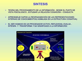 SINTESIS TEORIA DEL PROCESAMIENTO DE LA INFORMACIÒN , DESDE EL PUNTO DE VISTA PSICOLOGICO , ESTUDIAR LA RELACIÒN COGNICIÒN – CONDUCTA APRENDIZAJE SUPON LA REORGANIZACIÒN DE LAS REPRESENTACIONES INTERNAS DE CONOCIMIENTOS( ASIMILADA EN LA ESTRUCTURA COGNITIVA) EL SER HUMANO ES UN PROCESADOR ACTIVO, REFLEXIONA, EVALUA . INTEGRA  Y  TRANSFORMA Y DA SIGNIFICADO A LA INFORMACIÒN 