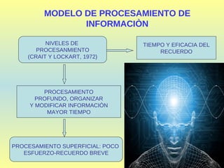 MODELO DE PROCESAMIENTO DE INFORMACIÒN NIVELES DE  PROCESANMIENTO (CRAIT Y LOCKART, 1972) TIEMPO Y EFICACIA DEL RECUERDO PROCESAMIENTO PROFUNDO, ORGANIZAR  Y MODIFICAR INFORMACIÒN MAYOR TIEMPO PROCESAMIENTO SUPERFICIAL: POCO  ESFUERZO-RECUERDO BREVE 