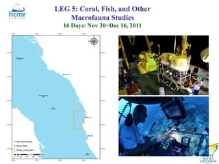 LEG 5: Coral, Fish, and Other
    Macrofauna Studies
  16 Days: Nov 30−Dec 16, 2011
 