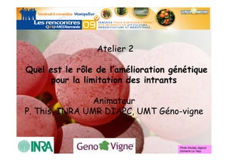 Atelier 2

Quel est le rôle de l’amélioration génétique
      pour la limitation des intrants

                Animateur
P. This, INRA UMR DIAPC, UMT Géno-vigne


                                     Photo Nicolas Jegouic
                                     Domaine La Tapy
 